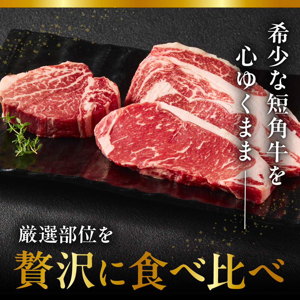 【えりも短角牛】ステーキ３種食べ比べセット【er007-015】（サーロイン サーロインステーキ リブロース リブロースステーキ ヒレ ヒレステーキ 牛肉 牛 肉 短角牛 ビーフ ステーキ肉 お取り寄せ 冷凍 冷凍便 国産 北海道産 北海道 えりも町 赤身肉 ヘルシー 放牧 自家産牧草 スローフード 味の箱舟 アニマルウェルフェア）