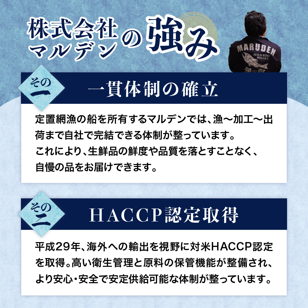 えりも【マルデン特製】サーモンフライ3切(300g)×3p【er002-117】