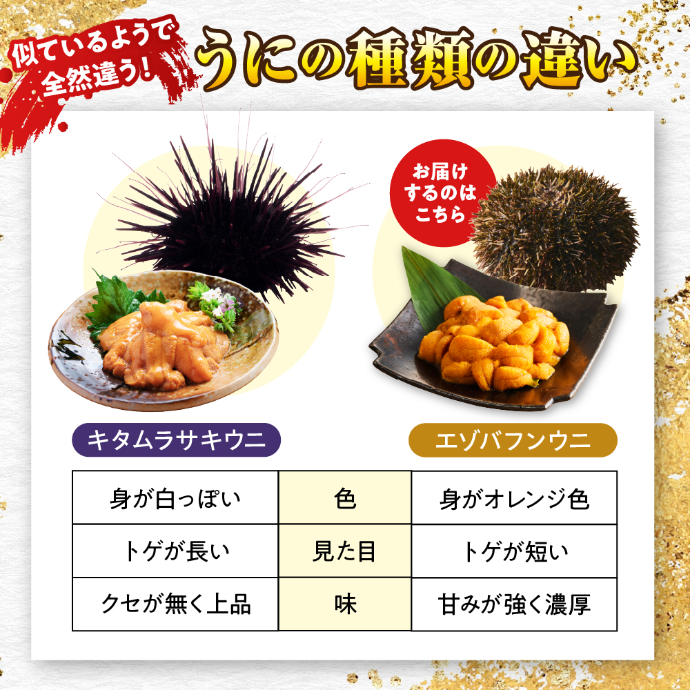 蝪ゥ豌エ縺縺ォ縲縲舌∴繧翫b逕」縲代親r004-055縲