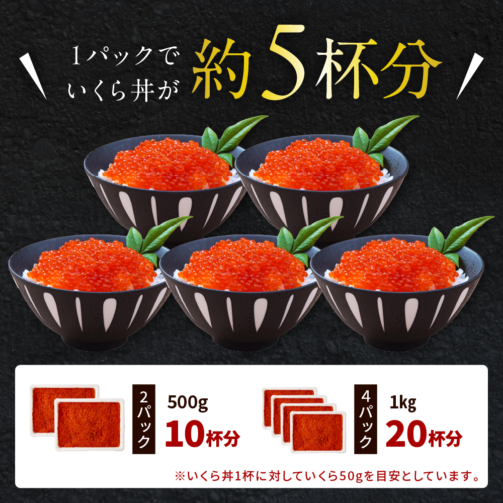 えりも【マルデン特製】鮭いくら醤油漬け250g×4箱【er002-099】