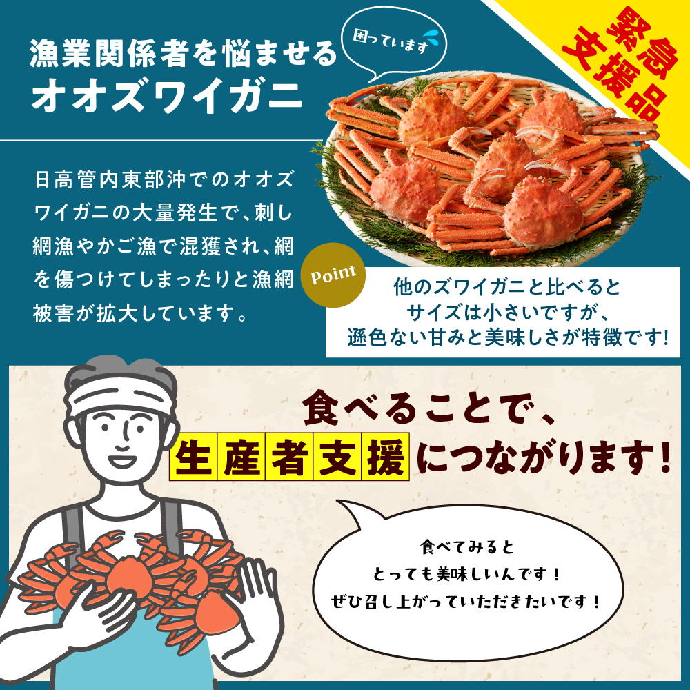 えりも【マルデン特製】訳ありオオズワイガニセット2kg（生冷1kg・ボイル1kg）【er002-052-a】