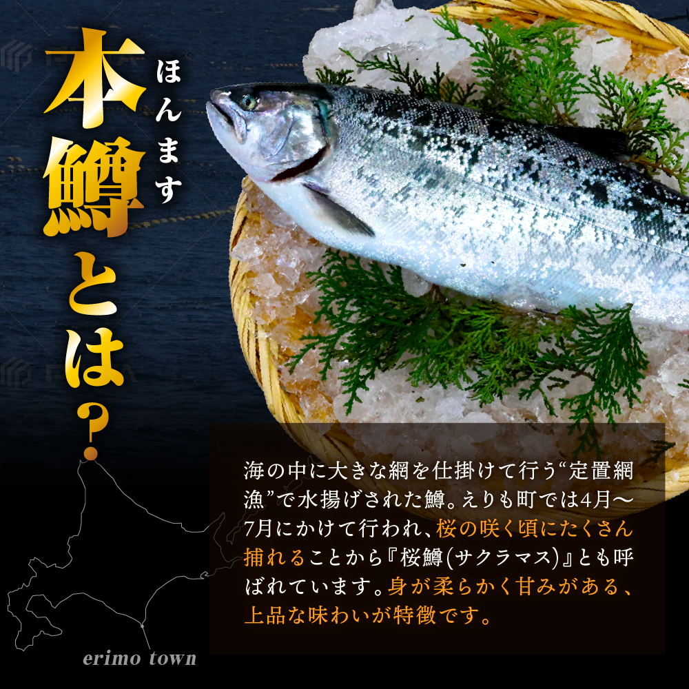 縲2026蟷エ6譛井サ・髯咲匱騾√第悽縺セ縺吶ヵ繧」繝ャシ呈椢繧サ繝繝医親r004-048-a縲