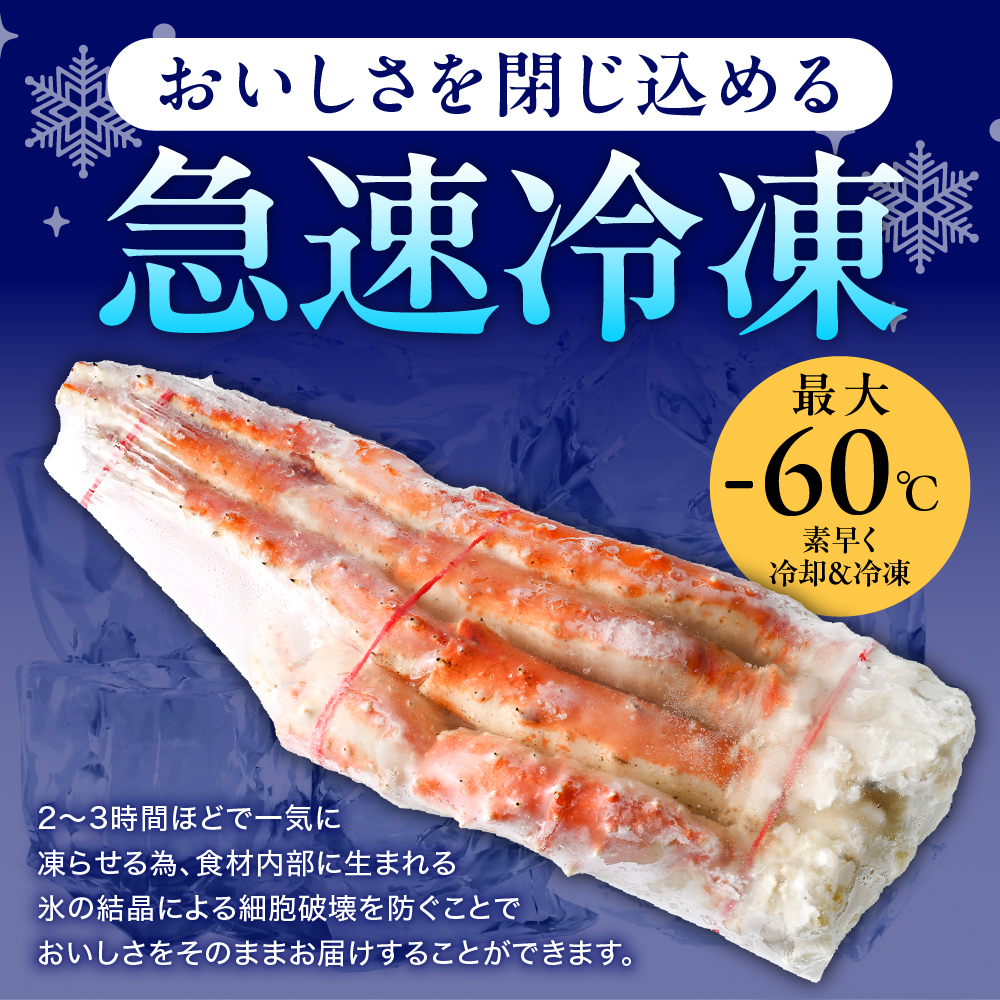 繝懊う繝ォ 繧ソ繝ゥ繝舌ぎ繝 閼 シ1kgシ5L繧オ繧、繧コ縲親r018-021-h縲題淹 縺九↓ 陝ケ雜ウ 蜀キ蜃 繝懊う繝ォ貂医∩ 迚ケ螟ァ 鬲壻サ 豬キ逕」迚ゥ 縺雁叙繧雁ッ縺 繧ョ繝輔ヨ 蛹玲オキ驕