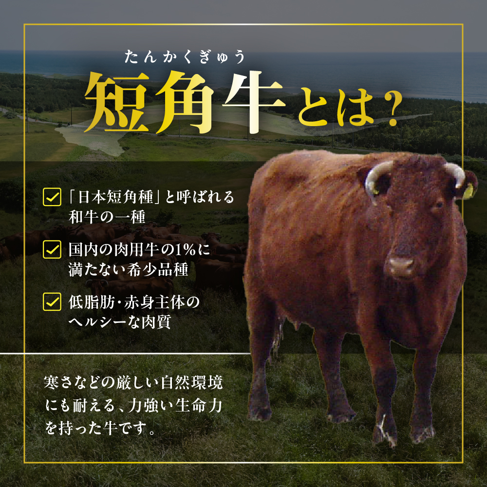 【えりも短角牛】ステーキ３種食べ比べセット【er007-015】（サーロイン サーロインステーキ リブロース リブロースステーキ ヒレ ヒレステーキ 牛肉 牛 肉 短角牛 ビーフ ステーキ肉 お取り寄せ 冷凍 冷凍便 国産 北海道産 北海道 えりも町 赤身肉 ヘルシー 放牧 自家産牧草 スローフード 味の箱舟 アニマルウェルフェア）