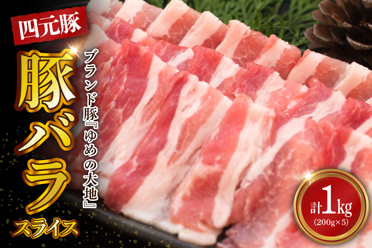 【えりも町生まれ 四元豚】ゆめの大地豚バラスライス200g×5パック計1kg【er020-004】