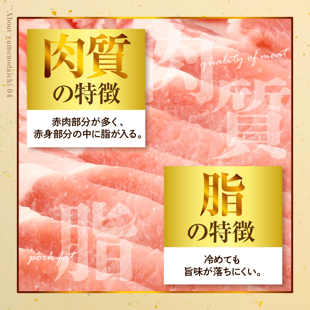 【えりも町生まれ 四元豚】ゆめの大地豚バラスライス200g×5パック計1kg【er020-004】