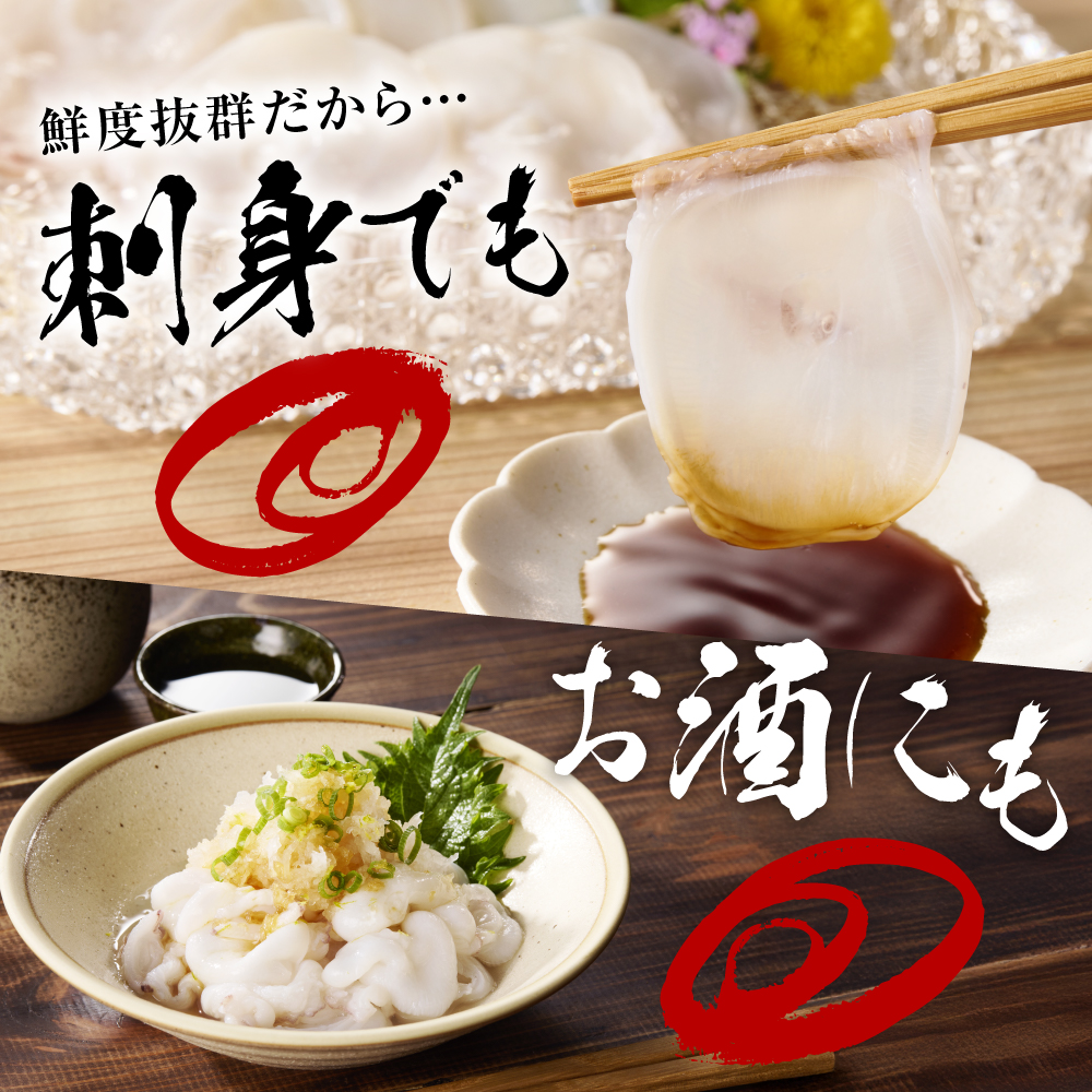 縺溘%縺励c縺カシ500gシ峨親r018-081縲/ 縺溘% 繧ソ繧ウ 陋ク 繝溘ぜ繝繧ウ 繝、繝翫ぐ繝繧ウ 閼 蛻コ霄ォ 繧ウ繝ェ繧ウ繝ェ鬟滓─ 豬キ魄ョ 豬キ縺ョ蟷ク 豬キ逕」迚ゥ 豌エ逕」蜉蟾・蜩 蜉蟾・蜩 蜉蟾・鬟溷刀 縺雁叙繧雁ッ縺 繧ー繝ォ繝。 縺泌ス灘慍 迚ケ逕」 逕」蝨ー 逶エ騾 諤・騾溷キ蜃 蛹玲オキ驕鍋肇 蝗ス逕」 蛹玲オキ驕 縺医j繧ら伴