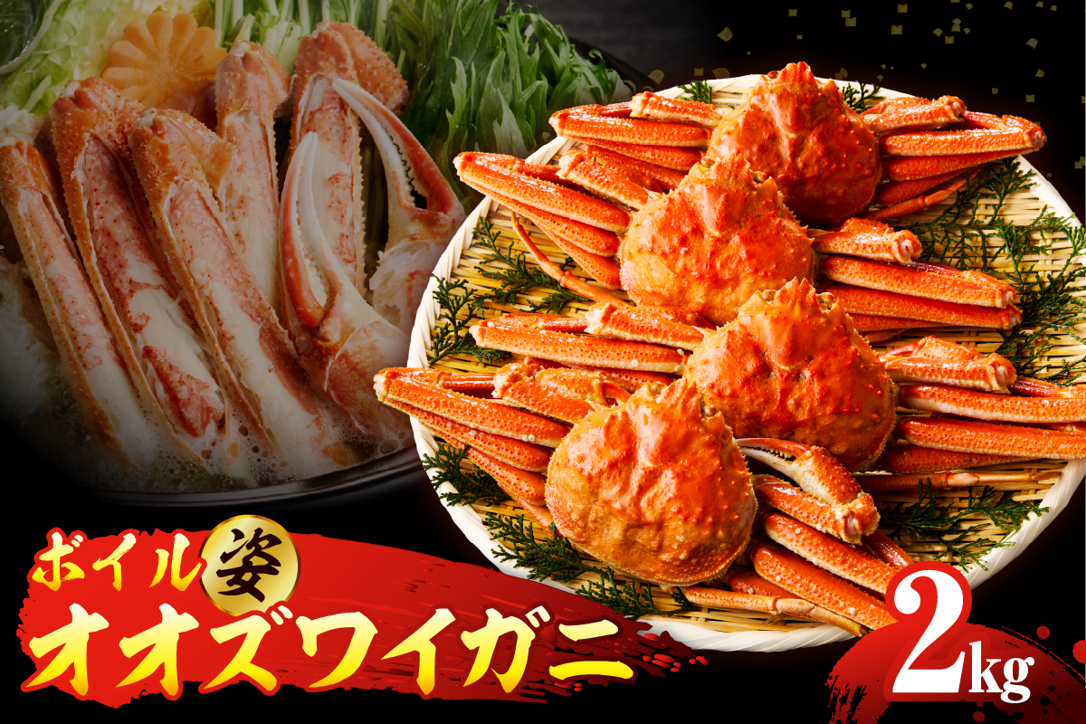 ボイルオオズワイガニ姿 2kg（4~5杯）【er018-063-a】