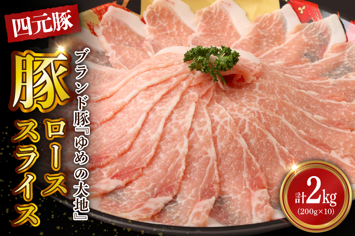 【えりも町生まれ 四元豚】ゆめの大地豚ローススライス200g×10パック計2kg【er020-002】