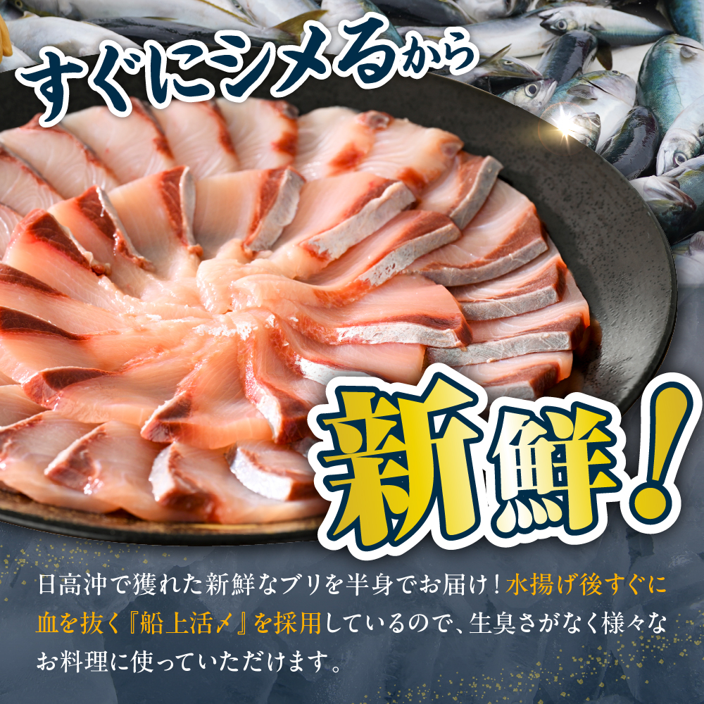 えりも【マルデン特製】(ワンフローズン)北海道日高産ぶり半身800g以上【er002-075-a】