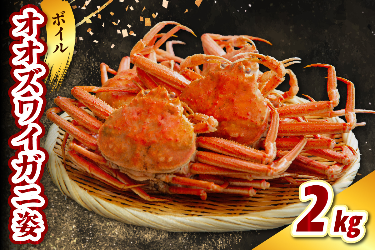 ボイルオオズワイガニ姿2kg（4～5杯）【er021-017】かに おおずわい 蟹 大ズワイ 大ズワイガニ ズワイガニ ズワイ ボイル かにみそ 蟹みそ 一杯 冷凍 魚介 魚介類 海鮮 国産 北海道 えりも町