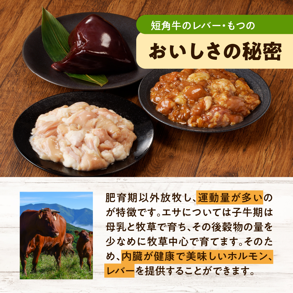 【えりも短角牛】もつセット【er007-006】（赤身肉 ヘルシー 放牧 自家産牧草 スローフード 味の箱舟 えりも 短角牛 塩 ホルモン 300g 味噌 ホルモン 300g レバー 300g 希少 品種 国産 北海道産 牛肉 牛ホルモン 牛大腸 牛小腸 人気 送料無料 北海道 えりも町 赤身肉 ヘルシー 放牧 自家産牧草 スローフード 味の箱舟 アニマルウェルフェア)