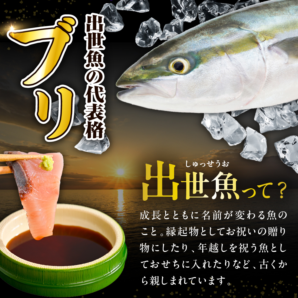 えりも【マルデン特製】(ワンフローズン)北海道日高産ぶり半身800g以上【er002-075-a】