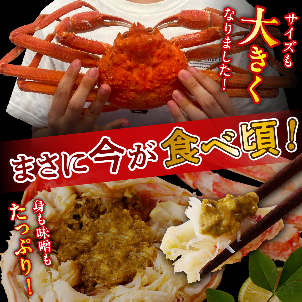 縺医j繧り頂縺励が繧ェ繧コ繝ッ繧、繧ャ繝1緕擾シ3ス5蟆セシ峨親r001-091縲