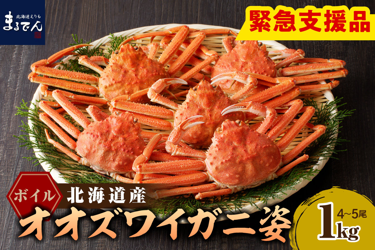 えりも【マルデン特製】ボイルオオズワイガニ姿1kg(４尾～５尾)【er002-048-a】