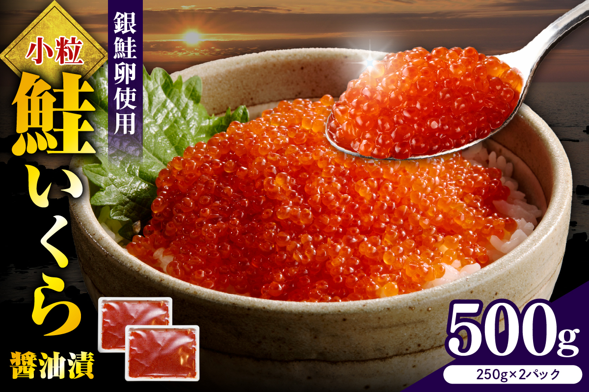 えりも【マルデン特製】鮭いくら醤油漬け250g×2箱【er002-098】