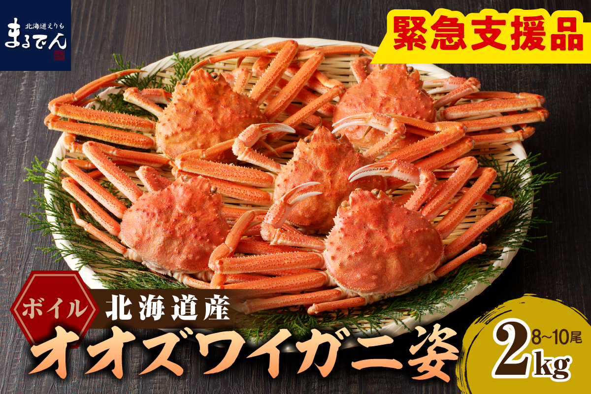 えりも【マルデン特製】ボイルオオズワイガニ姿2kg《1kg(４尾～５尾)×2》【er002-051-a】