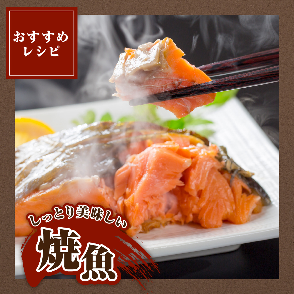 縲2026蟷エ6譛井サ・髯咲匱騾√第悽縺セ縺吶ヵ繧」繝ャシ呈椢繧サ繝繝医親r004-048-a縲