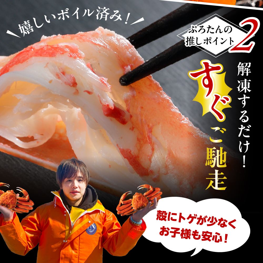 本ズワイガニ5肩（約2㎏）【er018-045-b】