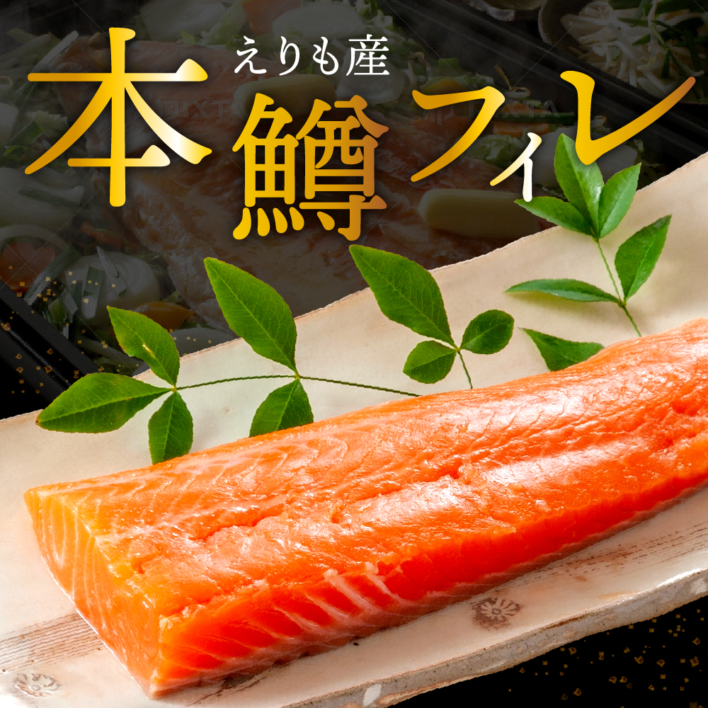 縲2026蟷エ6譛井サ・髯咲匱騾√第悽縺セ縺吶ヵ繧」繝ャシ呈椢繧サ繝繝医親r004-048-a縲