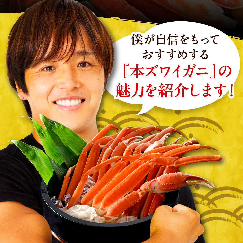 本ズワイガニ5肩（約2㎏）【er018-045-b】