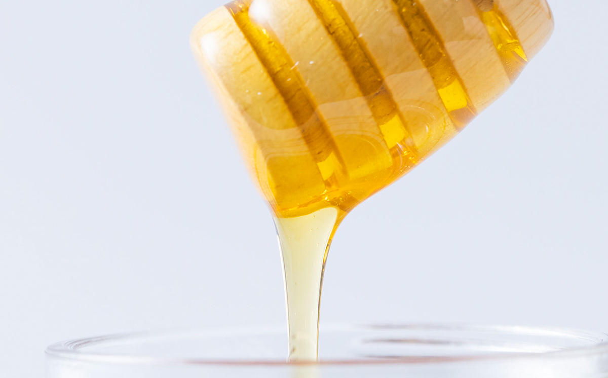 åæµ·éç£ å€©ç¶ ã¯ã¡ã¿ã€ çŸè±è 2.4kg