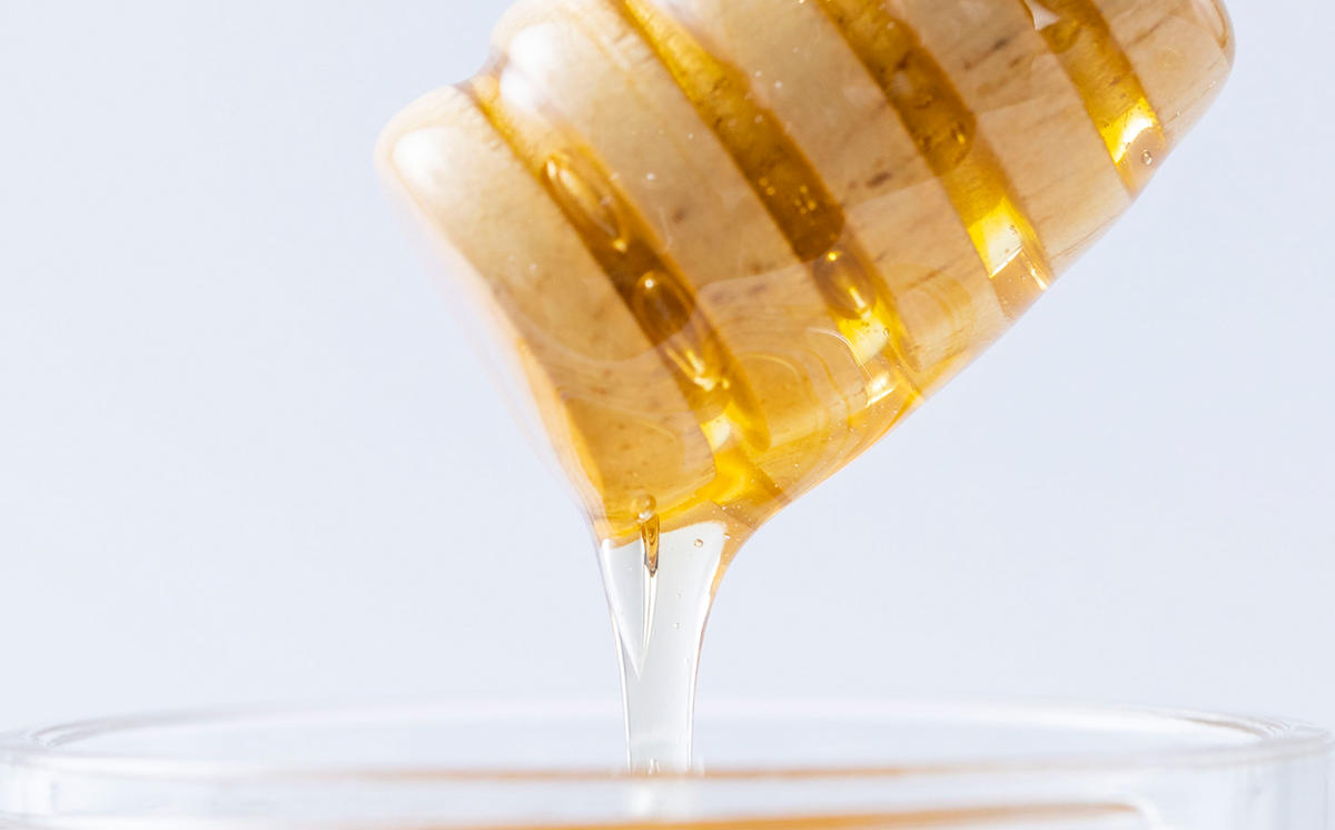 北海道産 天然 はちみつ アカシア 2.4kg