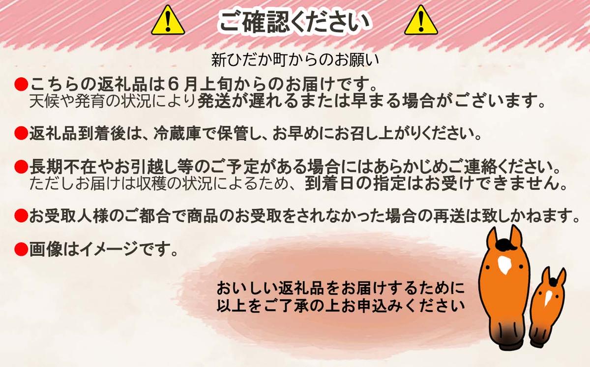 ＜6月より順次発送＞北海道産 ミニトマト 太陽の瞳 Mサイズ 3kg ＜ 予約受付 ＞