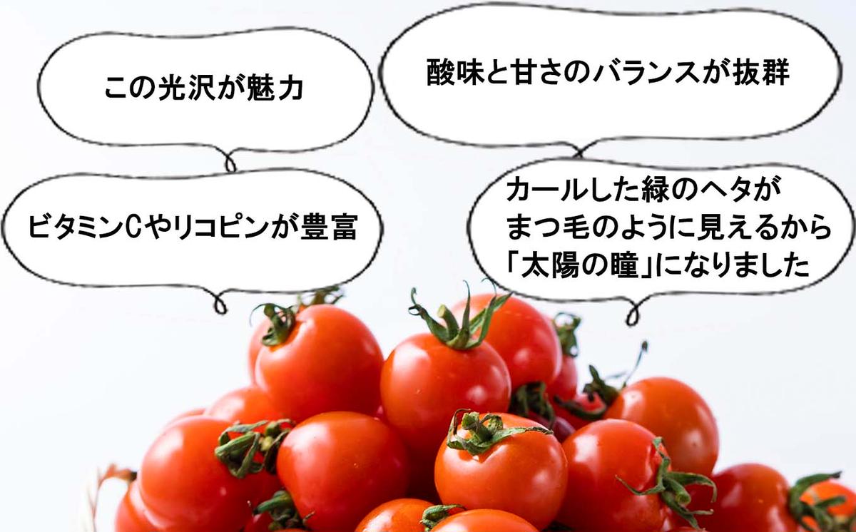 ＜9/15までの受付＞  北海道産 ミニトマト 太陽の瞳 Lサイズ 1kg 