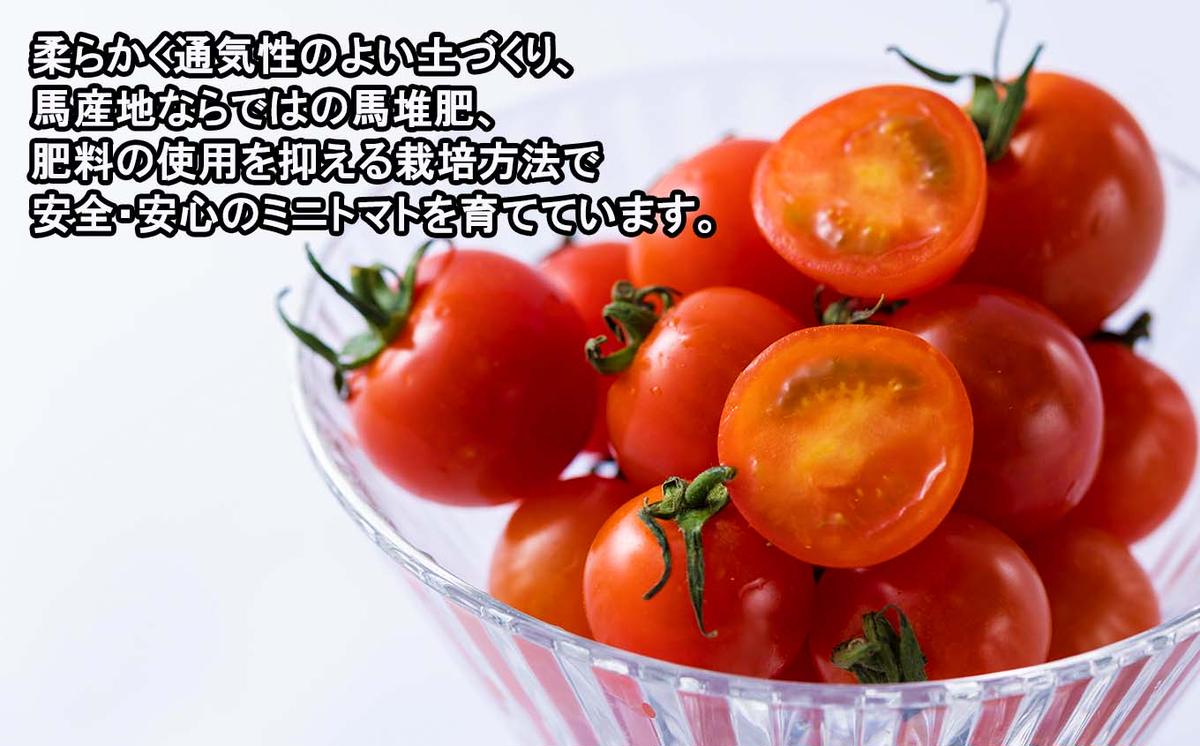 ＜9/15までの受付＞  北海道産 ミニトマト 太陽の瞳 Lサイズ 1kg 