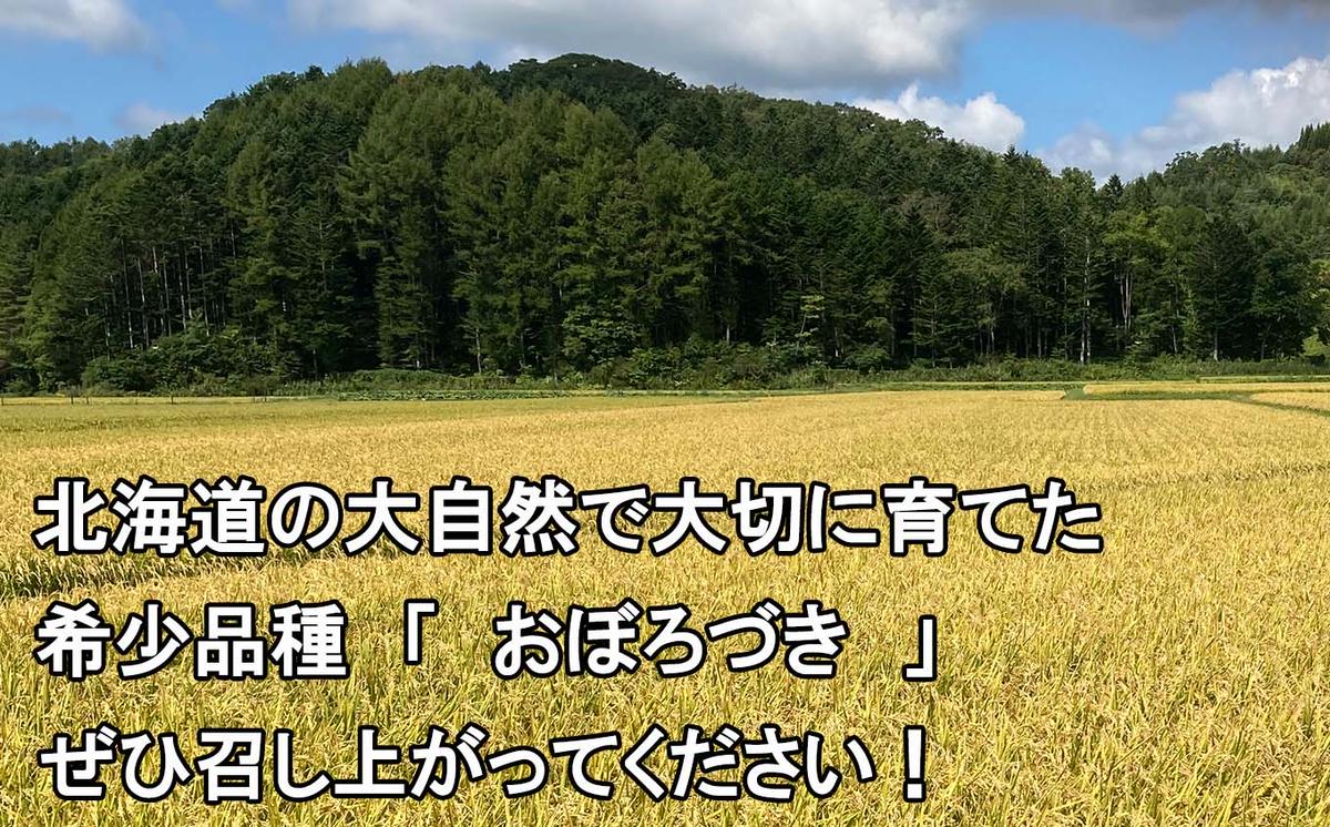 什å7å¹ŽåºŠç£ åæµ·éç±³ ããŒãã¥ã çç±³ 10kg (5kgÃ2) åæµ·é æ°ã²ã ãçº