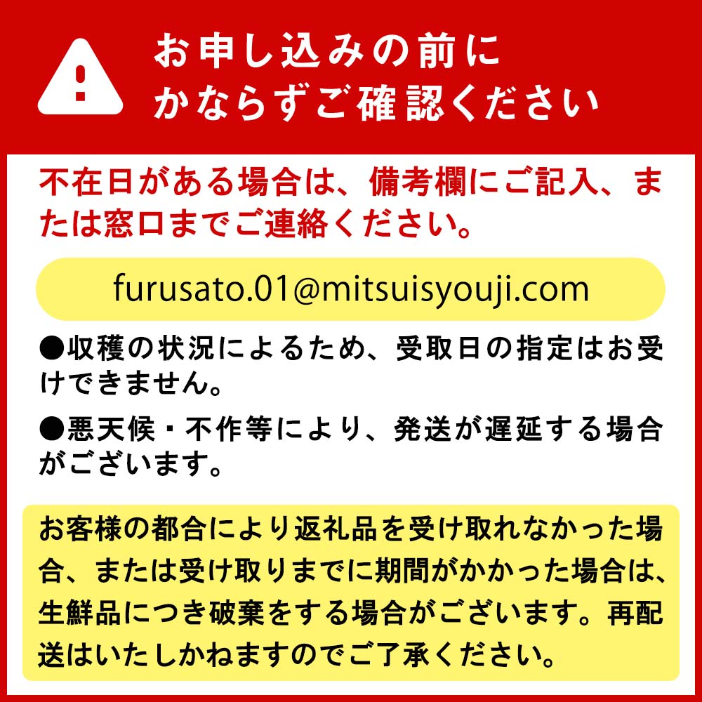 ＜ 2025年8月上旬より発送 ＞ 北海道産 カラフルトマト ミニトマト 1kg  ＃にじいろとまと ＜ 予約商品 ＞