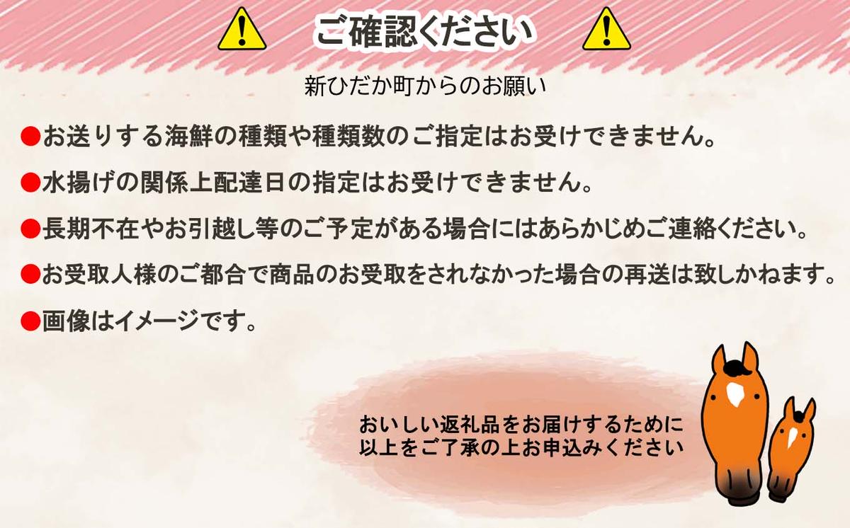 北海道産 旬の魚介 4～5種 お楽しみ詰め合わせ セット