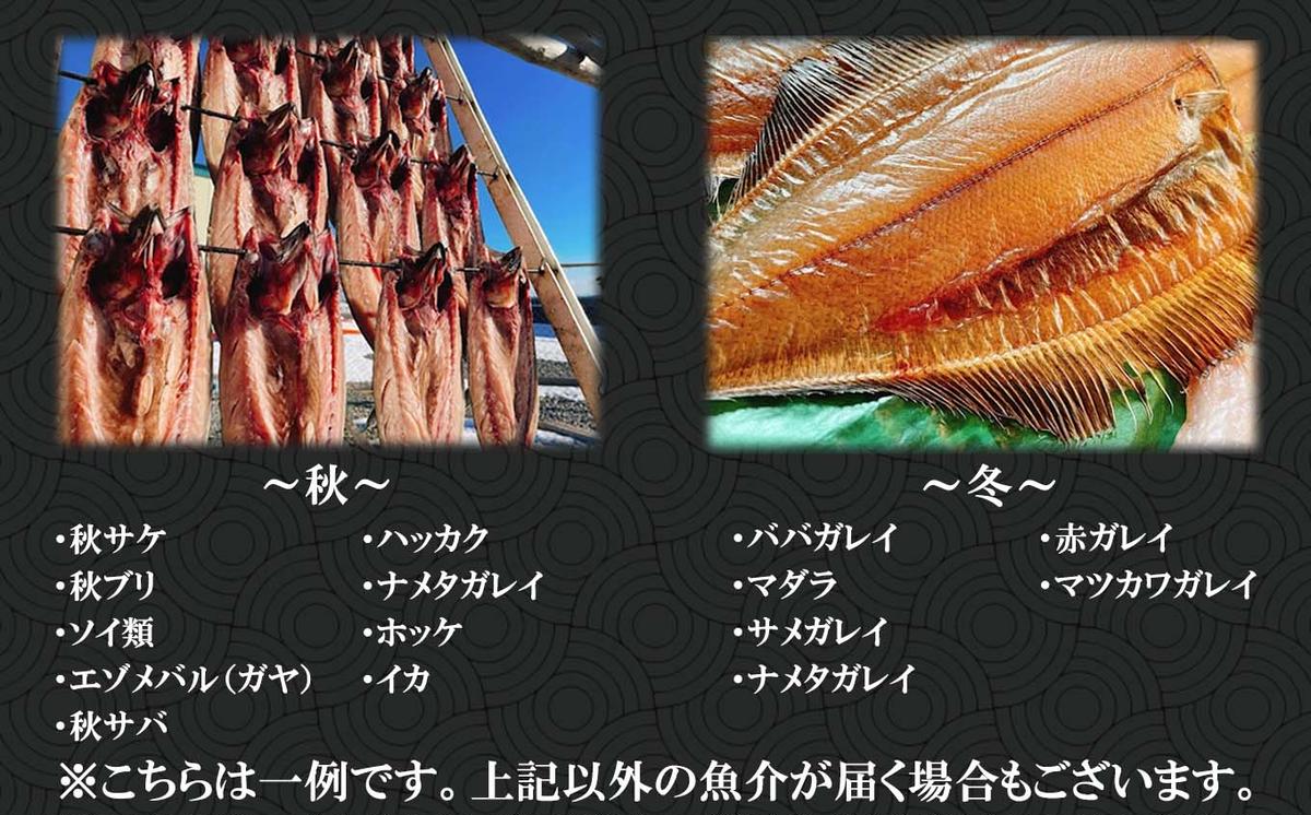 北海道産 旬のお魚 5種以上 豪華 お楽しみ詰め合わせ セット