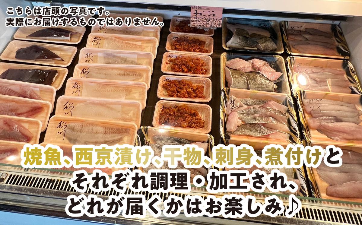 ＜定期便6回＞北海道産 旬のお魚 4～5種 お楽しみ定期便