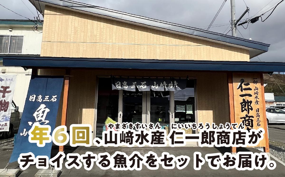 ＜定期便6回＞北海道産 旬の魚介4～5種 お楽しみ定期便