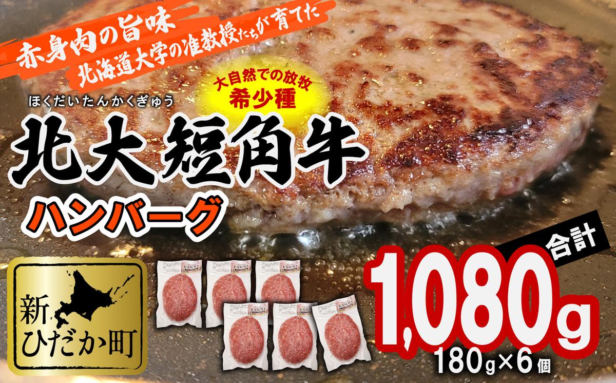 北海道産 北大 短角牛 ハンバーグ 計 1080g (180g×6枚) 