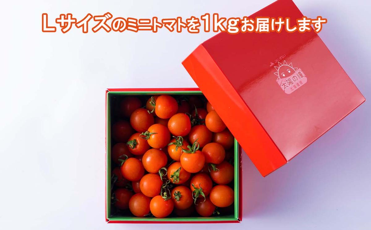 ＜9/15までの受付＞  北海道産 ミニトマト 太陽の瞳 Lサイズ 1kg 