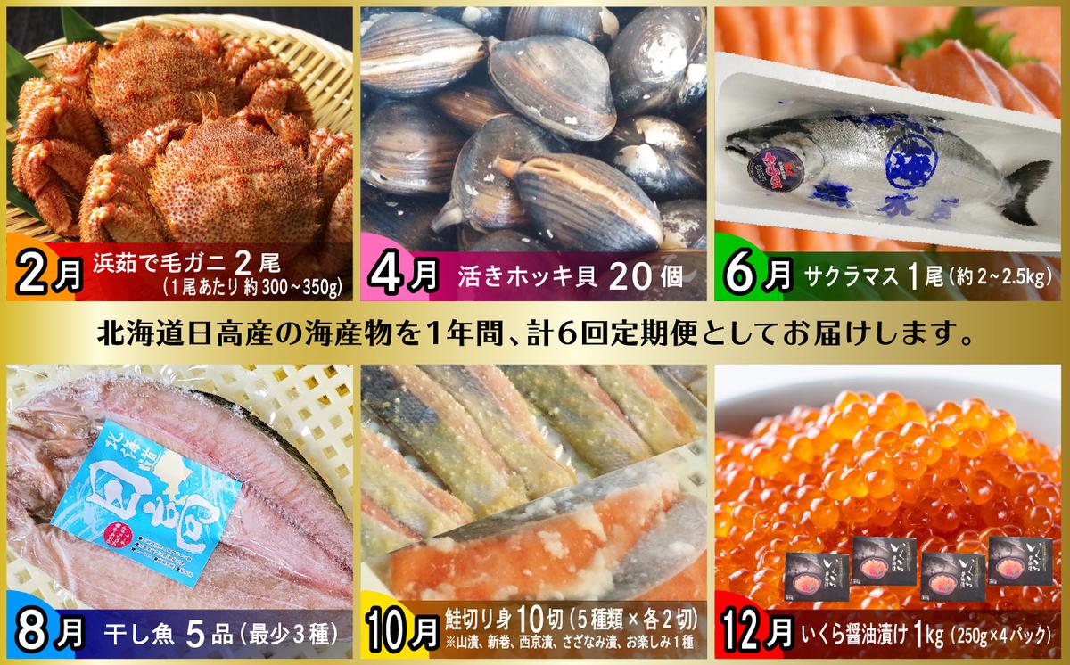 ＜2026年2月から順次発送＞【 定期便 6回 】 北海道産 海の幸 定期便 北海道 サクラマス 鮭 いくら 蟹 北寄 貝 鱒 旬 魚介 海鮮 海産物 ＜ 予約受付 ＞