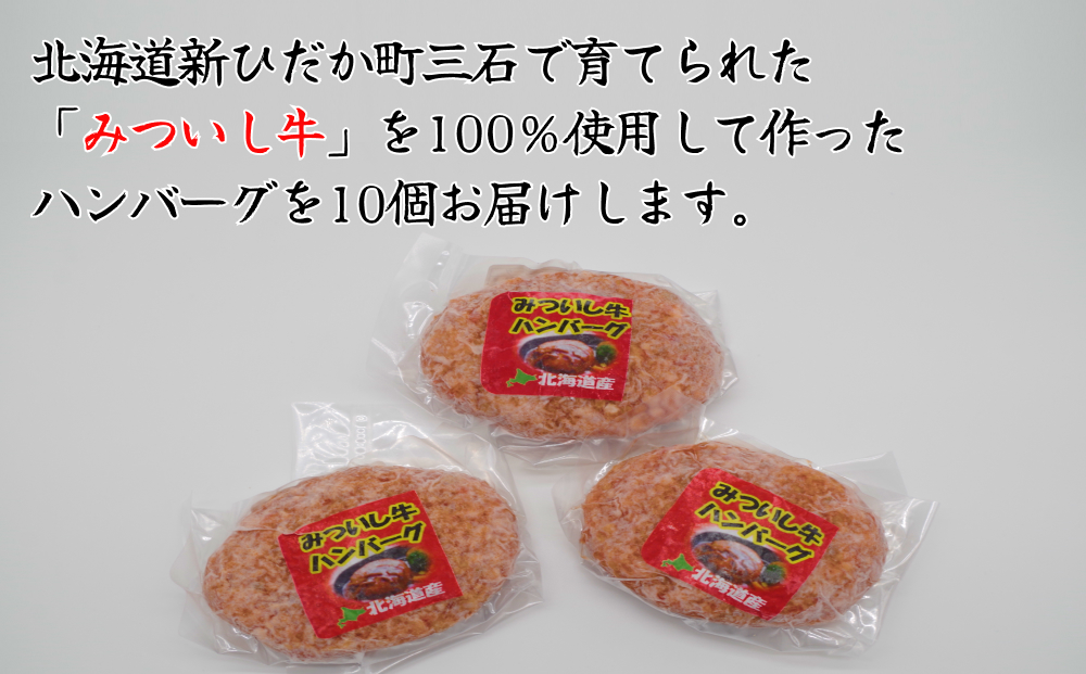 北海道産 黒毛和牛 みついし牛 ハンバーグ 計 1kg （ 100g × 10個 ）