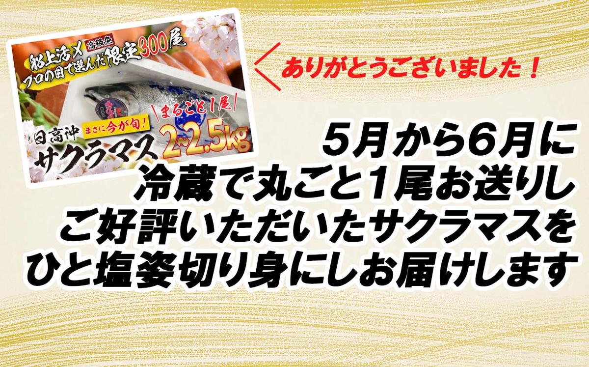 ＜3月31日までの受付＞ 北海道産 サクラマス ひと塩 姿切り身 2kg ～ 3kg まるごと 1尾 期間限定