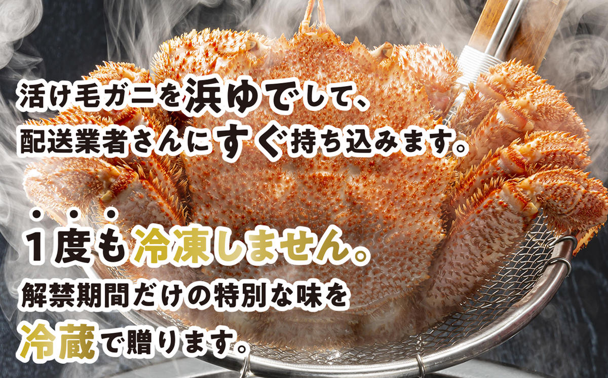 ＜2025年1月中旬から順次発送＞ 北海道産 かに 浜ゆで 毛がに 2尾 計 600g 以上 ＜ 予約商品 ＞ 毛蟹 毛ガニ 北海道 冷蔵 毛蟹 毛ガニ けがに かに 蟹 カニ かに味噌 カニ味噌 新鮮 旬 ボイル 浜茹で 海鮮 海産物 新鮮 旬 魚介 蟹味噌 みそ 新ひだか町