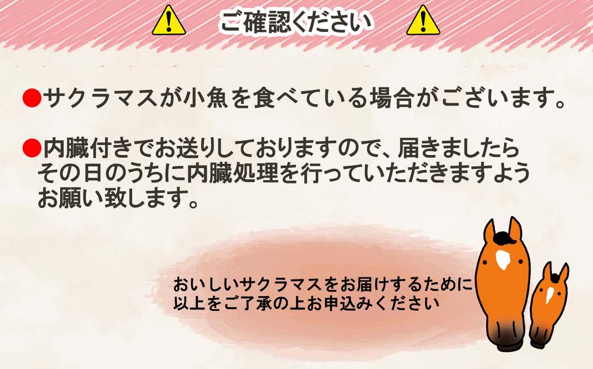 ＜2026年5月から順次発送＞ 北海道産 サクラマス 2～2.5kg まるごと 1尾 ＜予約商品＞ 