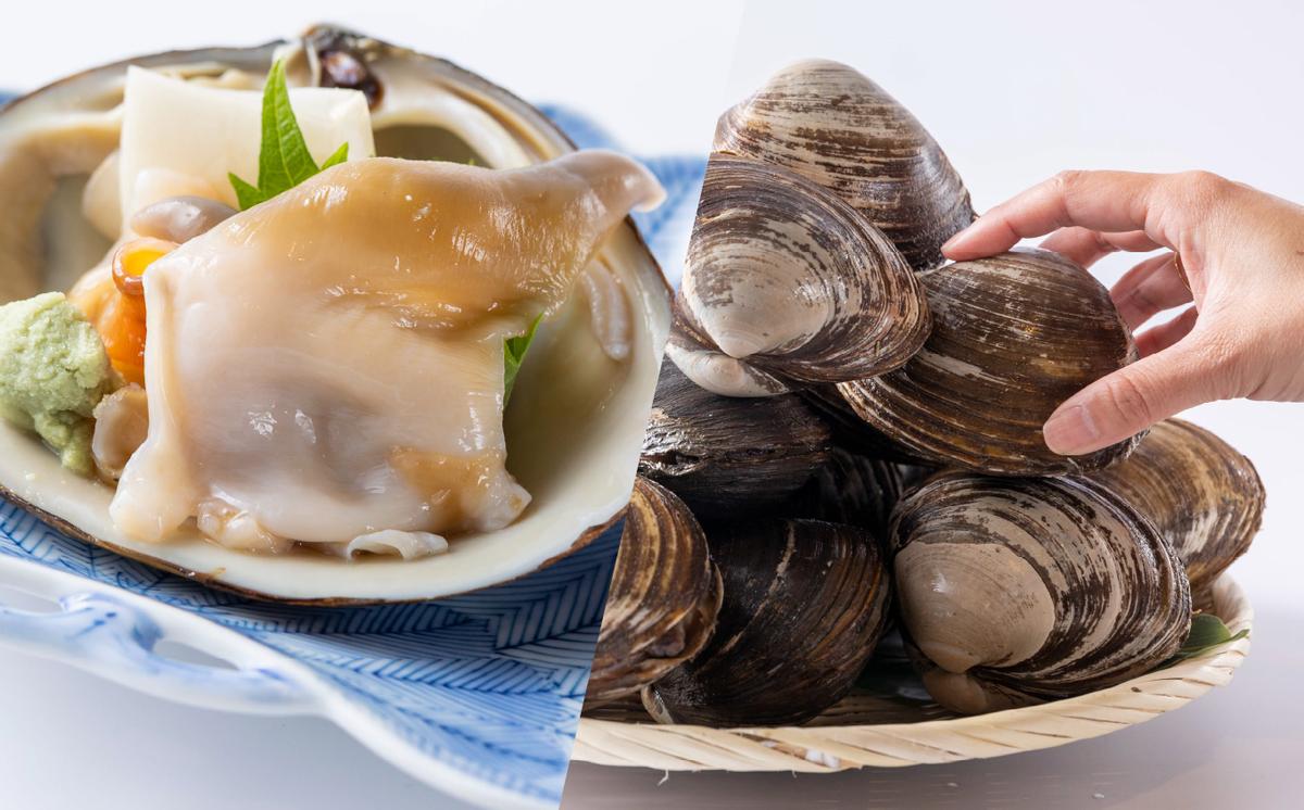 ＜12月から順次発送＞【 定期便 4回 】 北海道産 海の幸 定期便 いくら 500ｇ ( 250 ｇ × 2 パック ) 毛がに 2尾 活きホッキ貝 20個 サクラマス まるごと 1尾 北海道 新ひだか町 ＜ 予約受付 ＞