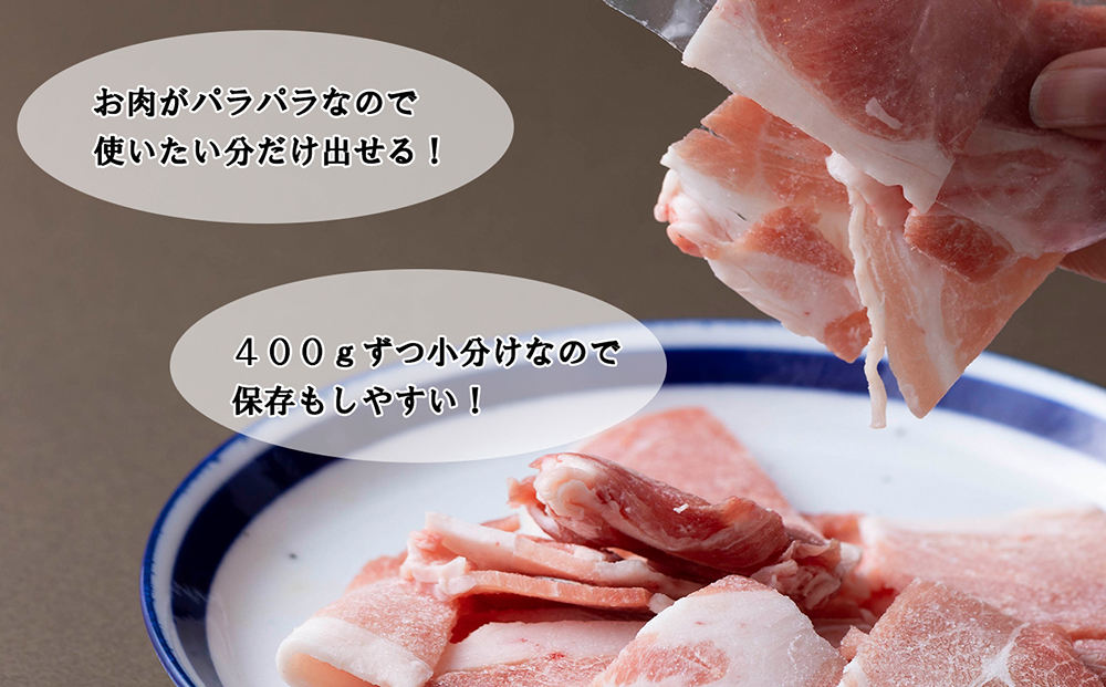 ＜定期便6回＞ 北海道産 健酵豚 小間切れ ＆ ひき肉 計 1.2kg (全7.2kg)