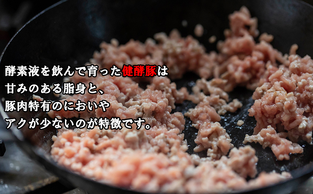 ＜定期便6回＞ 北海道産 健酵豚 ひき肉 計 1.2kg (全7.2kg)