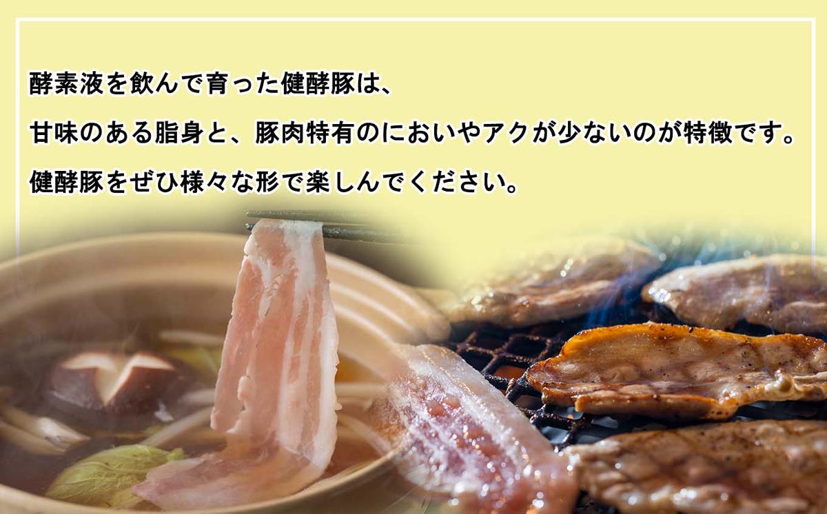 北海道産 健酵豚 おまかせ セット 3～4パック 豚肉 精肉 加工品 おためし 詰め合わせ ブランドポーク