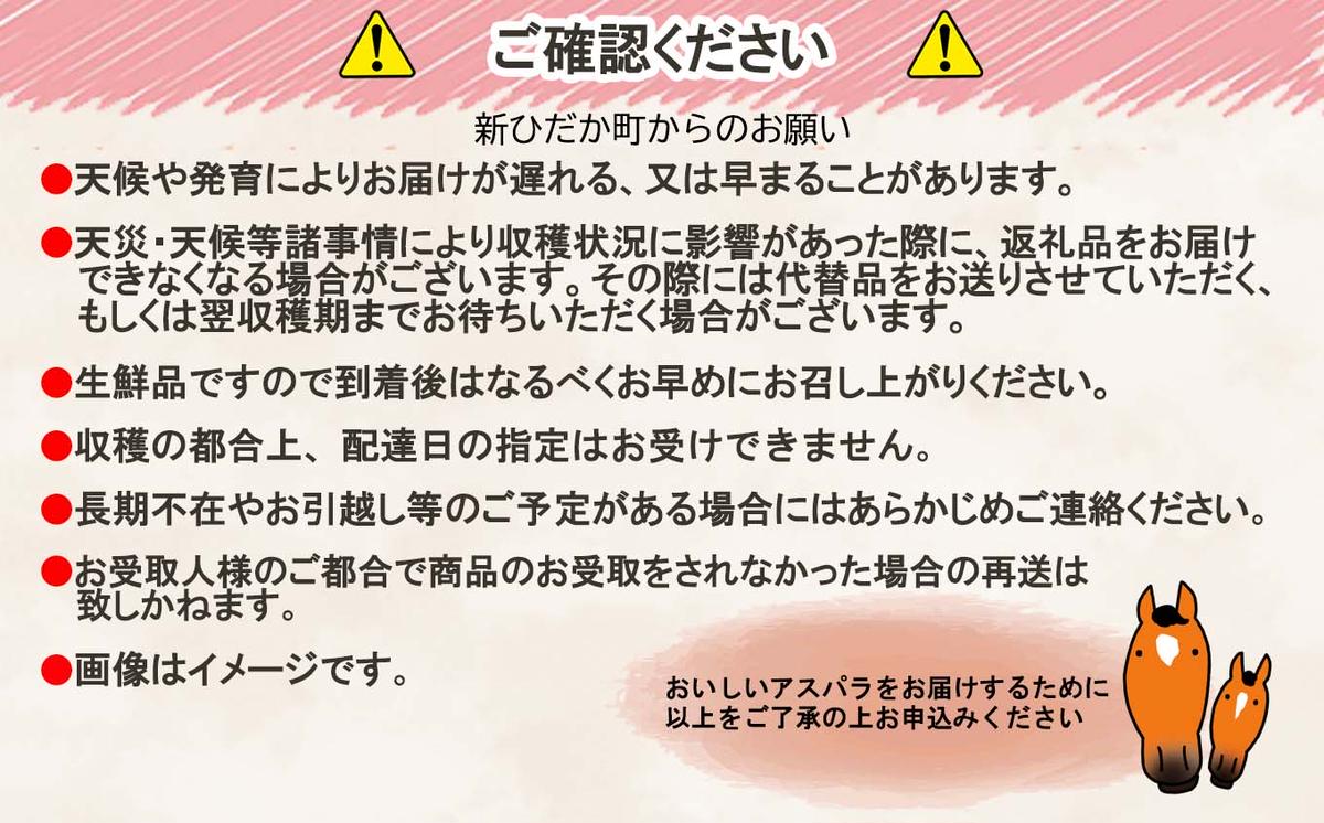 ＜先行予約＞ 北海道産 春採り グリーン アスパラガス 1kg Lサイズ ＜2025年5月上旬より発送＞