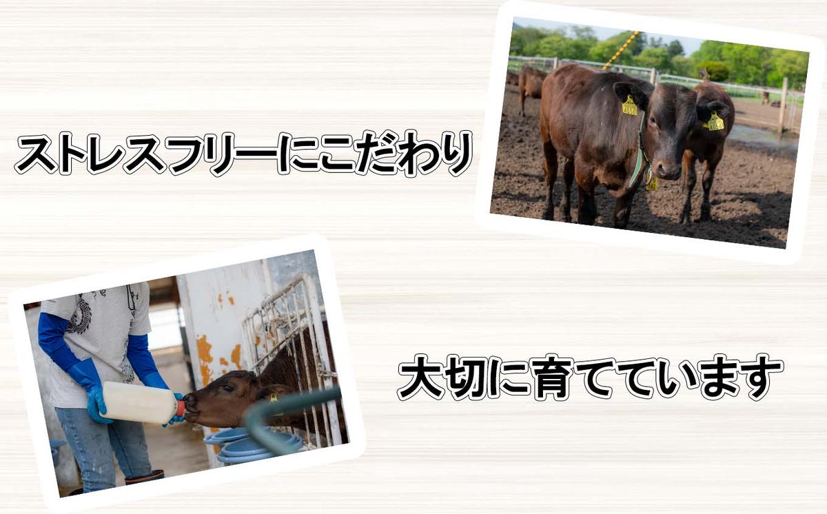 北海道産 A5 黒毛和牛 桜黒和牛 すき焼き 用 400g ウデ バラ肉 モモ肉 牛肉 牛 ビーフ 肉 和牛 すきやき 真空 パック 冷凍 北海道 新ひだか町