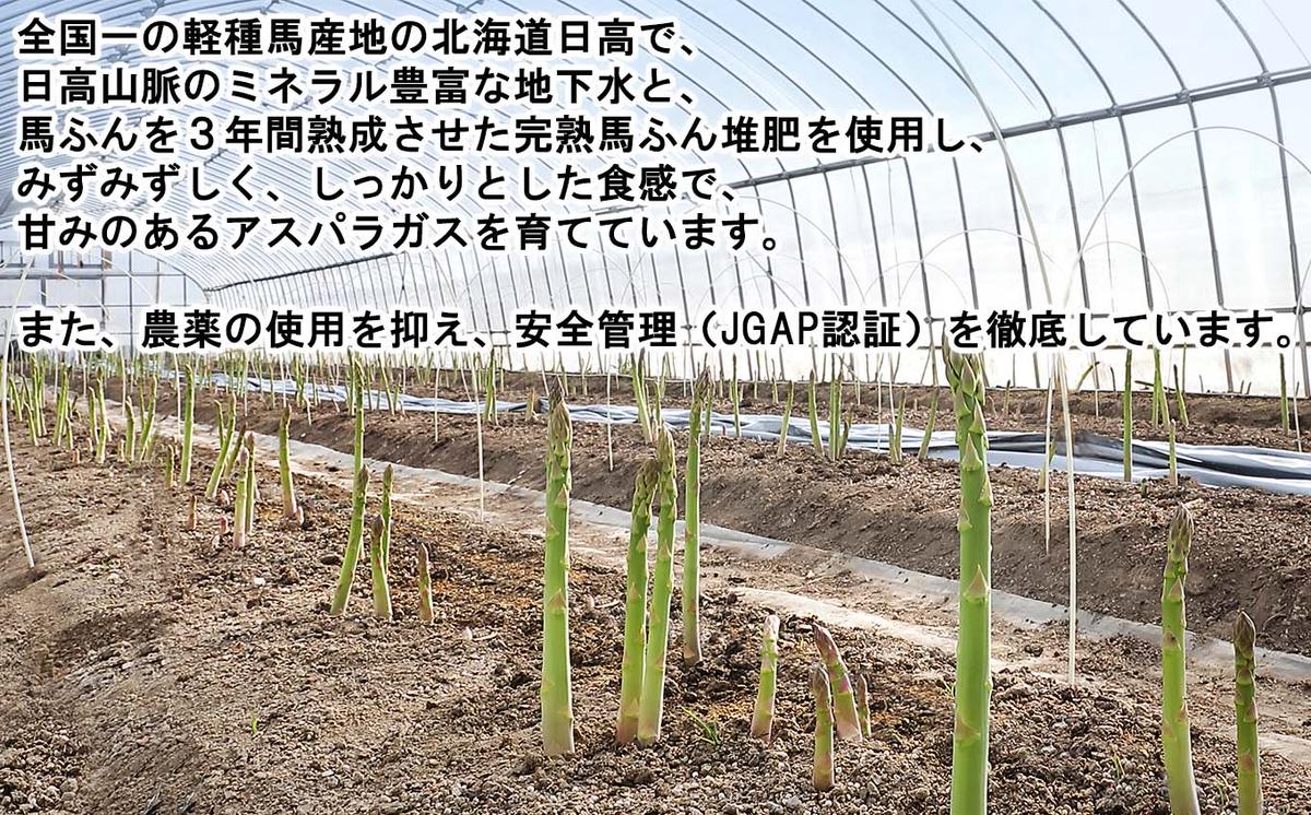 ïŒ2026幎4æäžæ¬ããé æ¬¡çºéïŒ åæµ·éç£ æ¥æ¡ã ã°ãªãŒã³ ã¢ã¹ãã©ã¬ã¹ 1kg Lãµã€ãº ïŒäºçŽåä»ïŒ